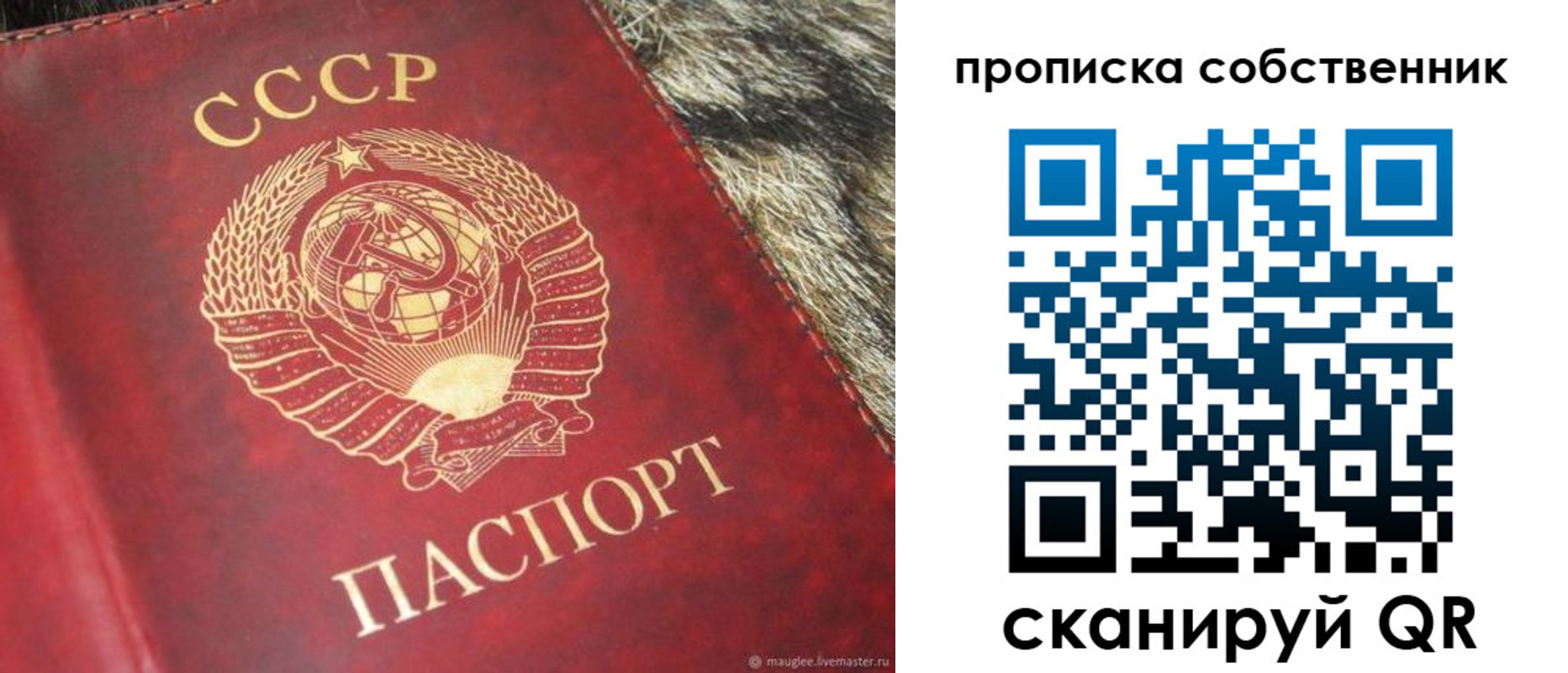 прописка в квартире в Палласовке